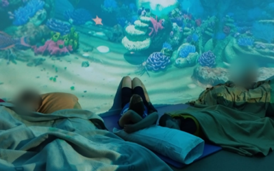 Més enllà de la realitat: noves oportunitats per a persones amb discapacitat intel·lectual i trastorns mentals a través de la realitat immersiva