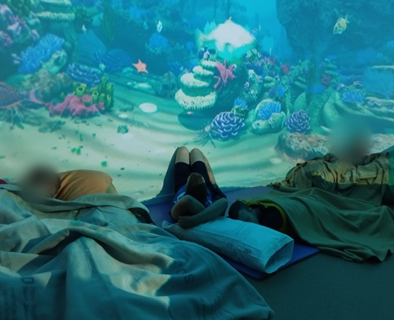 Més enllà de la realitat: noves oportunitats per a persones amb discapacitat intel·lectual i trastorns mentals a través de la realitat immersiva