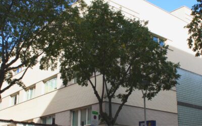 Model de Prescripció Centrada en la Persona en pacients geriàtrics amb multimorbiditat