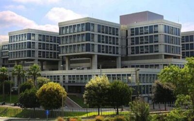 Projecte CoParticiPA a l’ICO: Dinàmiques de participació en persones amb malalties oncohematològiques des de l’àmbit hospitalari