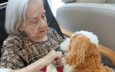 Reconnectant emocions: una experiència d’acompanyament amb animals robòtics