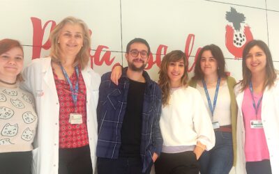 Hospital de Dia Numància: un programa d’atenció en salut mental per a persones adultes autistes dissenyat des de la recerca i la cocreació